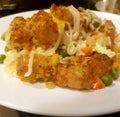 Recipe with leftover tater tot