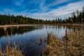 Reclaimed wetlands Crane lake , North of Fort McMurray Alberta oilsands