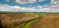 reclamation canal and a lone tree among the fields at early spring Royalty Free Stock Photo