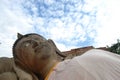 Reclining Buddha Of Putthaisawan Temple Ayutthaya , Thailand