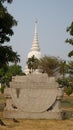 Reclining Buddha and White big Chedi