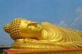 Reclining Golden Buddha