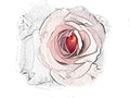 recolored bleach pencil drawing of a red rose