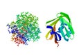 Recombinant human epidermal-type fatty acid binding protein. Crystal structure and molecular model. 3d illustration