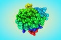 Recombinant human epidermal-type fatty acid binding protein. Rainbow coloring from N to C. 3d illustration