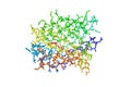 Recombinant human muscle fatty acid-binding protein. Molecular model. Rainbow coloring from N to C. 3d illustration