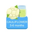 Recommended Time To Feed The Baby With Fresh Cauliflower Cartoon Info Sticker With Fresh Vegetable And Puree In Jar