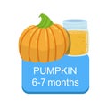 Recommended Time To Feed The Baby With Fresh Pumpkin Cartoon Info Sticker With Fresh Vegetable And Puree In Jar