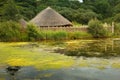 Irish National Heritage Park . Wexford. Ireland