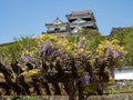 View of Ozu castle - Ehime prefecture, Japan Royalty Free Stock Photo