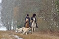 Reconstruction of hunting with borzoi dogs Royalty Free Stock Photo