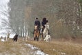 Reconstruction of hunting with borzoi dogs Royalty Free Stock Photo