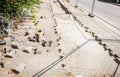 Reconstruction of the paving stones on the parking lot in the urban city street Royalty Free Stock Photo