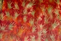 Reconstruction of Prehistoric, paleolithic cave paintings, hands prints
