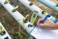 Record the pH value of water in vegetable hydroponics system Royalty Free Stock Photo