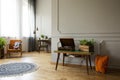 Record player and plant on table in vintage living room interior with rug and armchair. Real photo Royalty Free Stock Photo