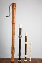 Recorder Family Royalty Free Stock Photo