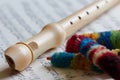 Recorder, flute Royalty Free Stock Photo