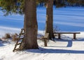 Recreation area with benches in the forest near the river. Forest trees on the banks of a frozen snow-covered river. Royalty Free Stock Photo