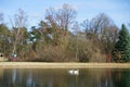 View of the Badesee bathing lake in February at Wuhlheide, 12459 Berlin, Germany