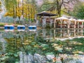 Recreation area near the lake in the mountains