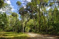 The recreation area in the Ocala National Forest located in Juniper Springs Florida