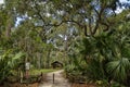 The recreation area in the Ocala National Forest located in Juniper Springs Florida Royalty Free Stock Photo