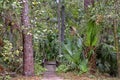 The recreation area in the Ocala National Forest located in Juniper Springs Florida Royalty Free Stock Photo