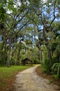 The recreation area in the Ocala National Forest located in Juniper Springs Florida Royalty Free Stock Photo