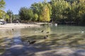 Recreation area on the River Jucar,Some ducks swim in the water, take in Alcala of the Jucar, Albacete province, Spain