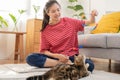 Recreation, beautiful owner kitten asian young woman, girl happy face in free time in casual holding toy playing with lovey cat,