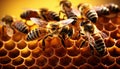 Recreation of bees in a comb of a beehive Royalty Free Stock Photo