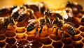Recreation of bees in the comb of a beehive Royalty Free Stock Photo