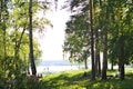 recreation forest blooms grass trees lake bright colors picnic sun family nature