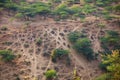 Recreational Area near Pushkar, India with Crisscrossing Offroad Vehicle trails Royalty Free Stock Photo