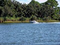 Pensacola Bayview Park