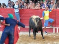 Recreational moment of people at a bullfight in representation of the traditional festivities of the cap and green