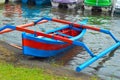 Recreational Paddleboat, Tethered And Floating Along The Edge Of The Mountain Lake