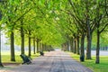 Recreational path in green park lined up with trees and beanch. Royalty Free Stock Photo