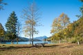 Recreational place at lake shore Walchensee in autumn, Jachenau, with picnic place