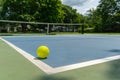 Recreational sport of pickleball court and ball in the United States with green and blue court with yellow ball on line