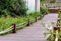 Wooden plank road in the park. Royalty Free Stock Photo