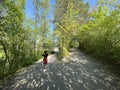 Recreational trails along the Glatt River and past small lakes or ponds - ZÃÂ¼rich Zuerich or Zurich, Switzerland / Schweiz