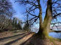 Recreational trails and promenades along the Au lake or Ausse and Zurich lake Zuerichsee oder ZÃÂ¼richsee, WÃÂ¤denswil Waedenswil