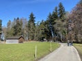 Recreational trails and promenades along the Bergweiher pond and in the protected area of Grindelriet above Lake ZÃÂ¼rich