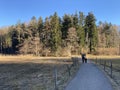 Recreational trails and promenades along Lake TÃÂ¼rler or TÃÂ¼rlersee lake Tuerlersee oder Turlersee during early spring