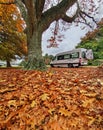 Recreational vehicle parked under large marple tree in the autumn afternoon