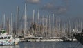Recretional watercrafts and yachts in palma de mallorca port with cathedral in last term Royalty Free Stock Photo