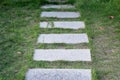 Rectangle flagstone walkway path in garden grass Royalty Free Stock Photo