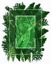 rectangle frame with banana leaves on white background Royalty Free Stock Photo
